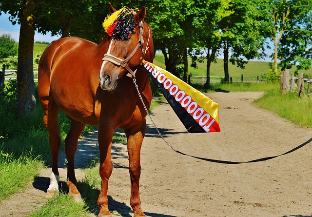 发巨大的波 发巨大的波