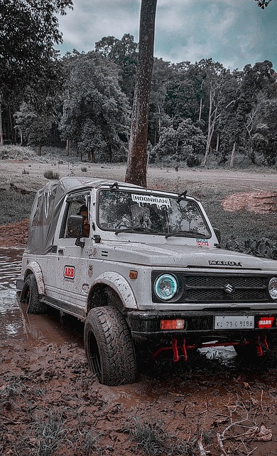 分析其背后 分析其背后