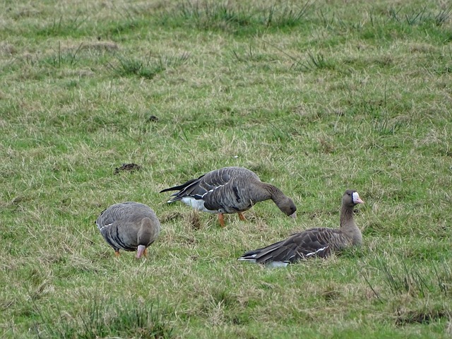 力和天赋取 力和天赋取