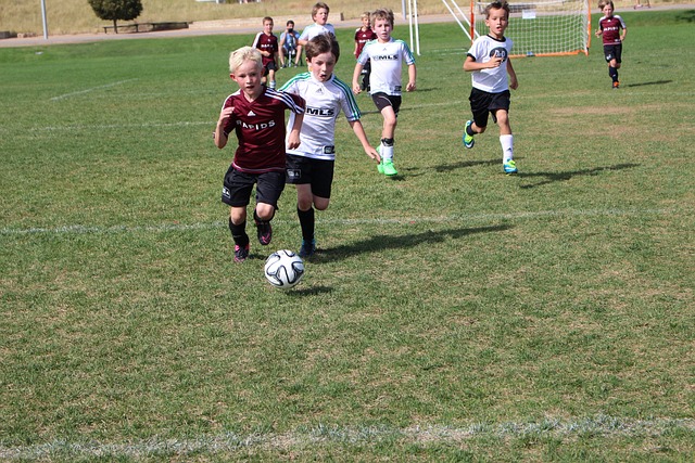 忽视的因素 忽视的因素